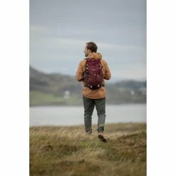 Quechua Hiking Clothing NH100, Hiking 30 L Backpack