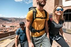 Forclaz Travel 100, Merino Wool Hiking T-Shirt, Men's