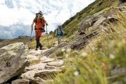 Forclaz MH500, Quick+Precise Adjustment Hiking Pole Hiking Clothing