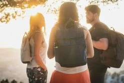 Quechua NH150, Square Hiking 16 L Backpack