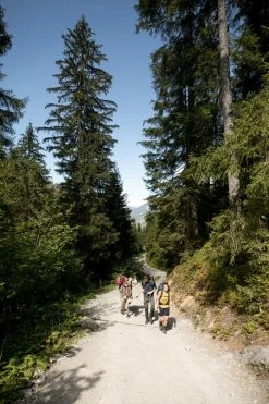 Forclaz Duffel 500 Extend, Backpacking 40 To 60 L Carry Bag