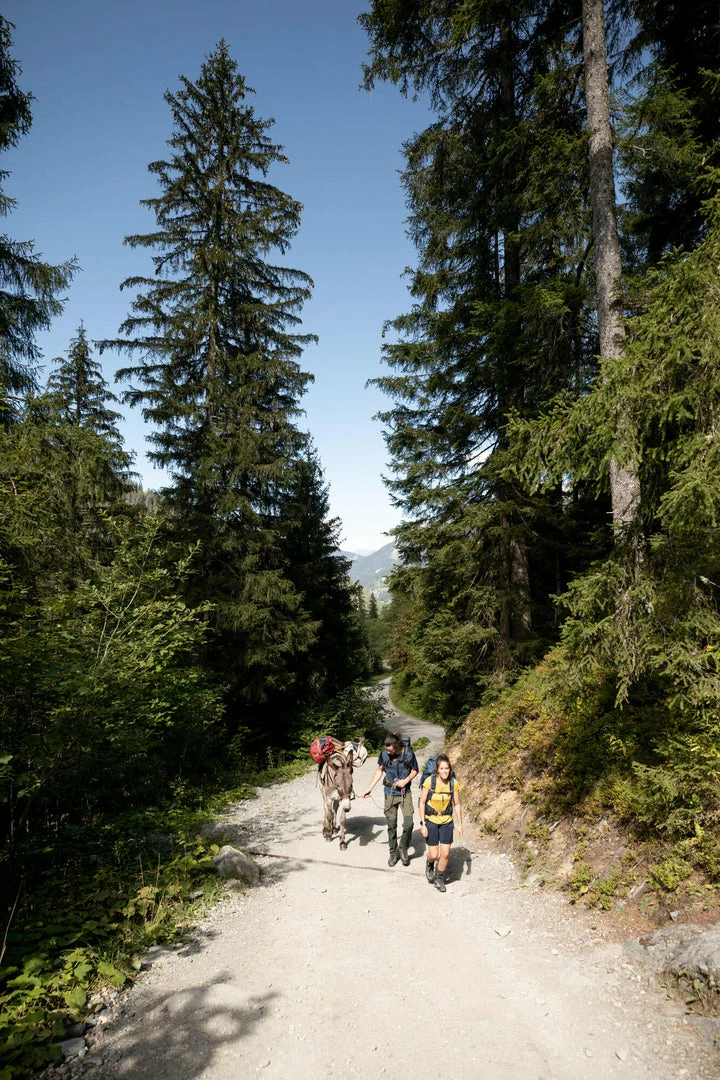 Forclaz Duffel 500 Extend, Backpacking 40 To 60 L Carry Bag