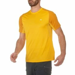 Hiking Clothing Quechua Tech Fresh 100, Short-sleeved Hiking T-Shirt, Men's