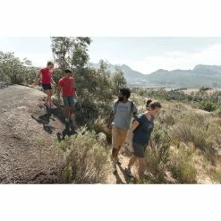 Quechua Hiking Clothing Women's Nature Hiking Leather Shoes NH500