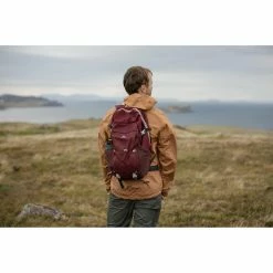 Quechua Hiking Clothing NH100, Hiking 30 L Backpack