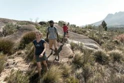 Quechua Hiking Clothing Men's Hiking Short-Sleeved Shirt Arpenaz 100