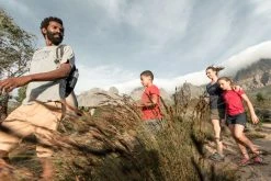 Quechua Hiking Clothing Men's Hiking Short-Sleeved Shirt Arpenaz 100