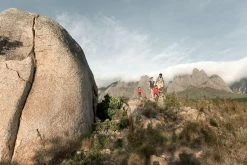 Quechua Hiking Clothing Men's Hiking Short-Sleeved Shirt Arpenaz 100