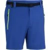 Quechua Forclaz 500 Men's Blue Hiking Shorts