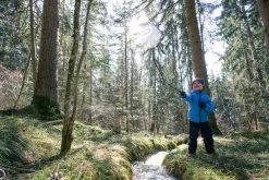 Quechua Kid Hiking Jacket Softshell Hiking Clothing