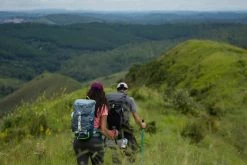 Quechua MH100, Hiking Backpack