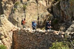 Forclaz Trek 900, Softshell Hiking Windbreaker, Women's