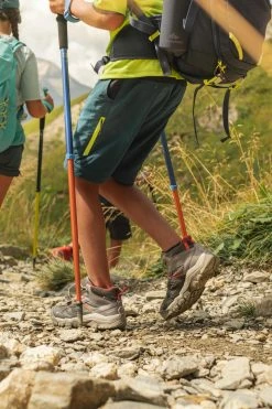 Quechua, Hiking Pole, Kids' Hiking Clothing