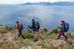 Forclaz Trek 900, Symbium 50+10 L Hiking Backpack, Men's Hiking Clothing