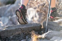 Hiking Clothing Quechua MH500, Waterproof Mid Hiking Boots, Women's