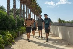 Quechua Hiking Clothing Escape NH500, Hiking 32 L Backpack