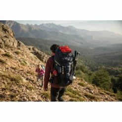 Hiking Clothing Quechua SH500, All-Season Hiking Pole