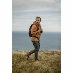 Quechua Hiking Clothing NH100, Hiking 30 L Backpack