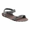 Forclaz Trek 500, Hiking Sandals, Adult Hiking Clothing