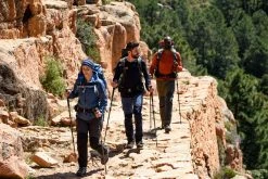 Forclaz Trek 500, Hiking Pants, Men's