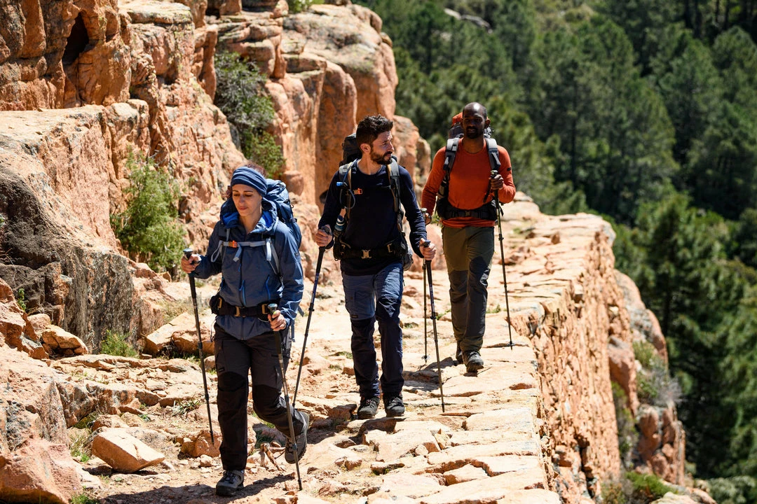 Forclaz Trek 500, Hiking Pants, Men's