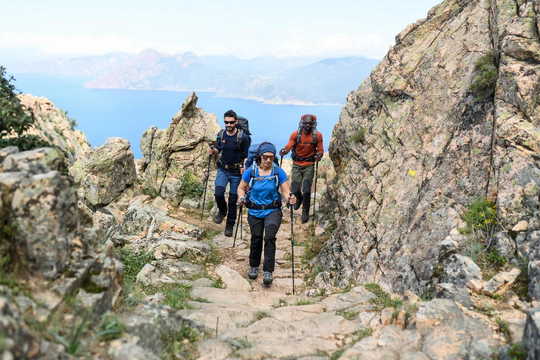 Forclaz Trek 500, Hiking Pants, Men's