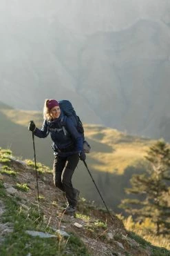 Forclaz F500AS, Anti-Shock Hiking Pole Hiking Clothing