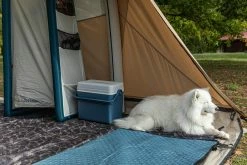 Hiking Clothing Quechua Fresh, 24 L Rigid Camping Or Hiking Cooler Box