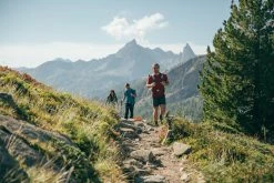 Quechua Hiking Clothing Men's Mountain Hiking Shorts MH100