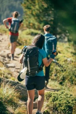 Quechua MH100, Hiking 30 L Backpack Hiking Clothing