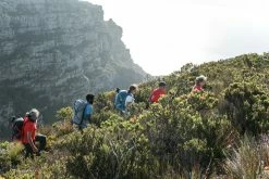 Quechua Hiking Clothing Men's Tech FRESH 50 Long-Sleeved Hiking T-Shirt Orange