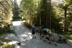 Forclaz Extend, Hiking 80-120 L Transport Bag