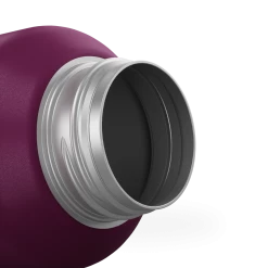 Hiking Clothing Quechua MH100, Stainless Steel Screw Cap Hiking Water Bottle, 20oz