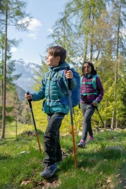 Quechua Crossrock, Low-Top Lace-Up Hiking Shoes, Boys' Hiking Clothing