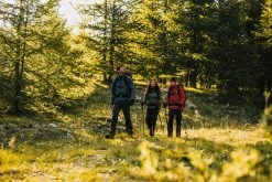 Forclaz Quechua MT100, Durable 2-in-1 Zip-Off Convertible Backpacking Pants, Men's