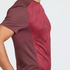 Quechua MH500, Short-Sleeved Hiking T-Shirt, Men’s