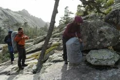 Hiking Clothing Forclaz Trek 500, Waterproof Hiking Overpants, Men's