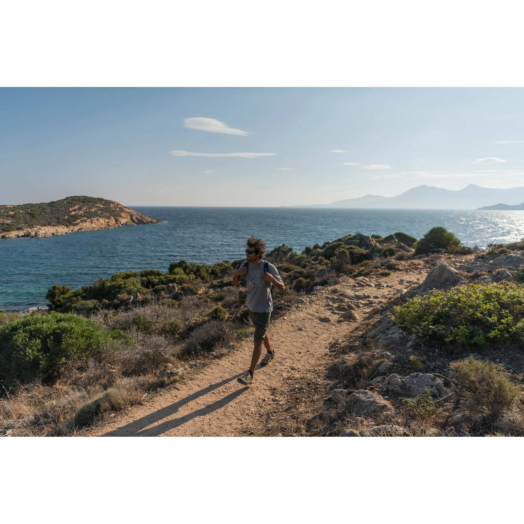 Quechua Hiking Clothing Men's Lowland Hiking Shorts Arpenaz 100