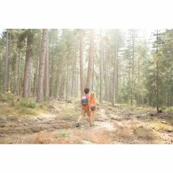 Hiking Clothing Quechua 10 L Cooler Backpack Lunch Bag