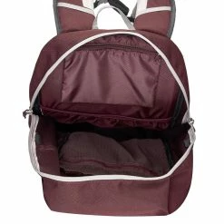 Quechua Hiking Clothing NH100, Hiking 30 L Backpack