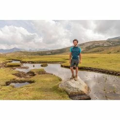 Quechua Men's Hiking Shorts Forclaz 50 Hiking Clothing