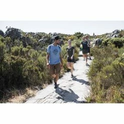 Hiking Clothing Quechua NH100, Hiking Shoes, Men's