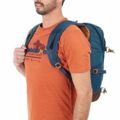 Quechua Hiking Clothing Nature Hiking Backpack 20 L NH500