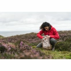 Quechua Hiking Clothing Nature Hiking Backpack 20 L NH500