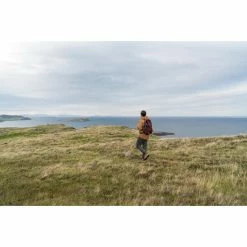 Quechua Hiking Clothing NH100, Hiking 30 L Backpack