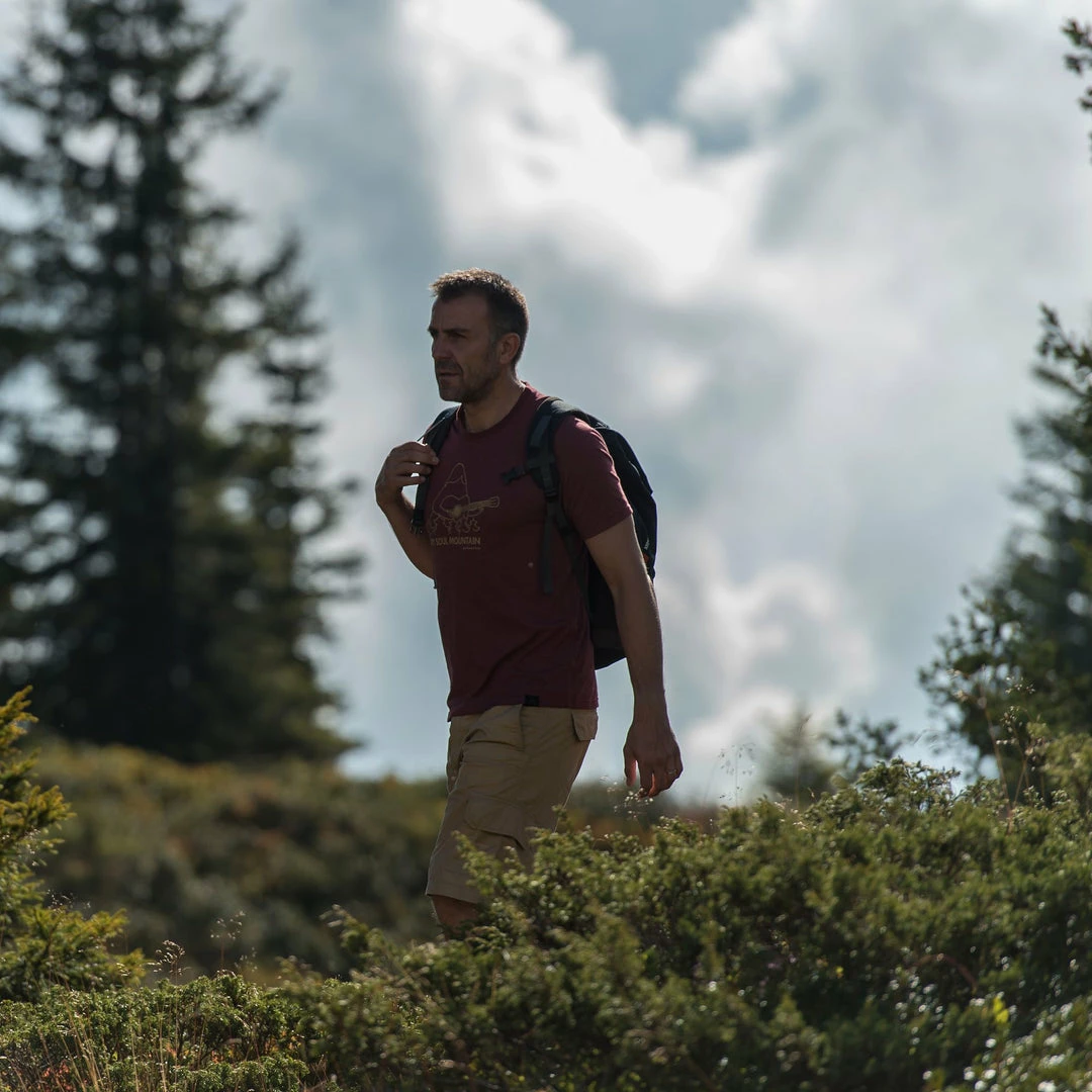 Hiking Clothing Quechua NH110, Hiking Sandals, Men's