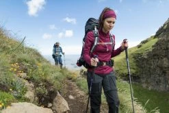 Forclaz Hiking Clothing Quechua Techwool 190, Hiking Wool Long-Sleeved T-Shirt Zip, Women's